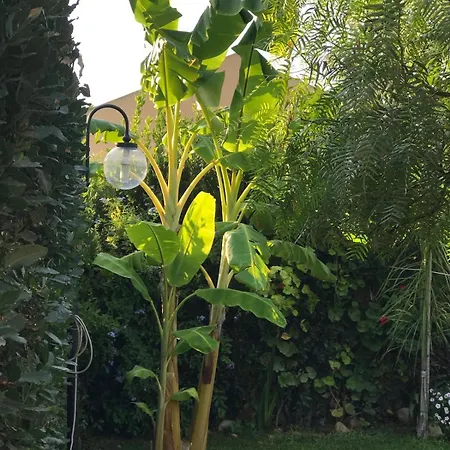 Stella Di Mare Marina Di Ragusa *