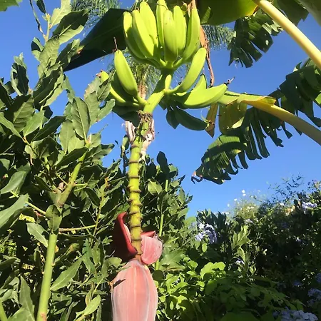 Nyaraló Stella Di Mare Marina Di Ragusa *